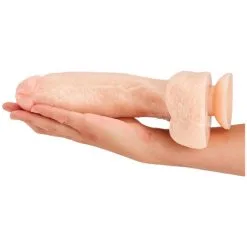 Realistixxx Real Stallion Dildo Med Sugekopp -Onaniprodukter butikk 14163 realistixxx real stallion dildo med sugekop q 100 05