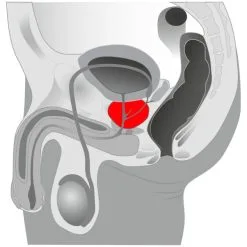 You2Toys Twister Prostatavibrator -Onaniprodukter butikk 17093 you2toys twister prostate vibrator q 100 06