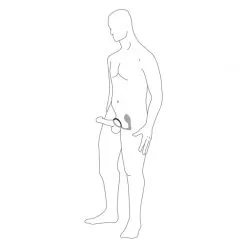 PDX Elite Ass-Gasm Extreme Vibrating Kit 12 PDX Elite Ass-Gasm Extreme Vibrating Kit -Onaniprodukter butikk ass gasm pro illustration 10 q100 4